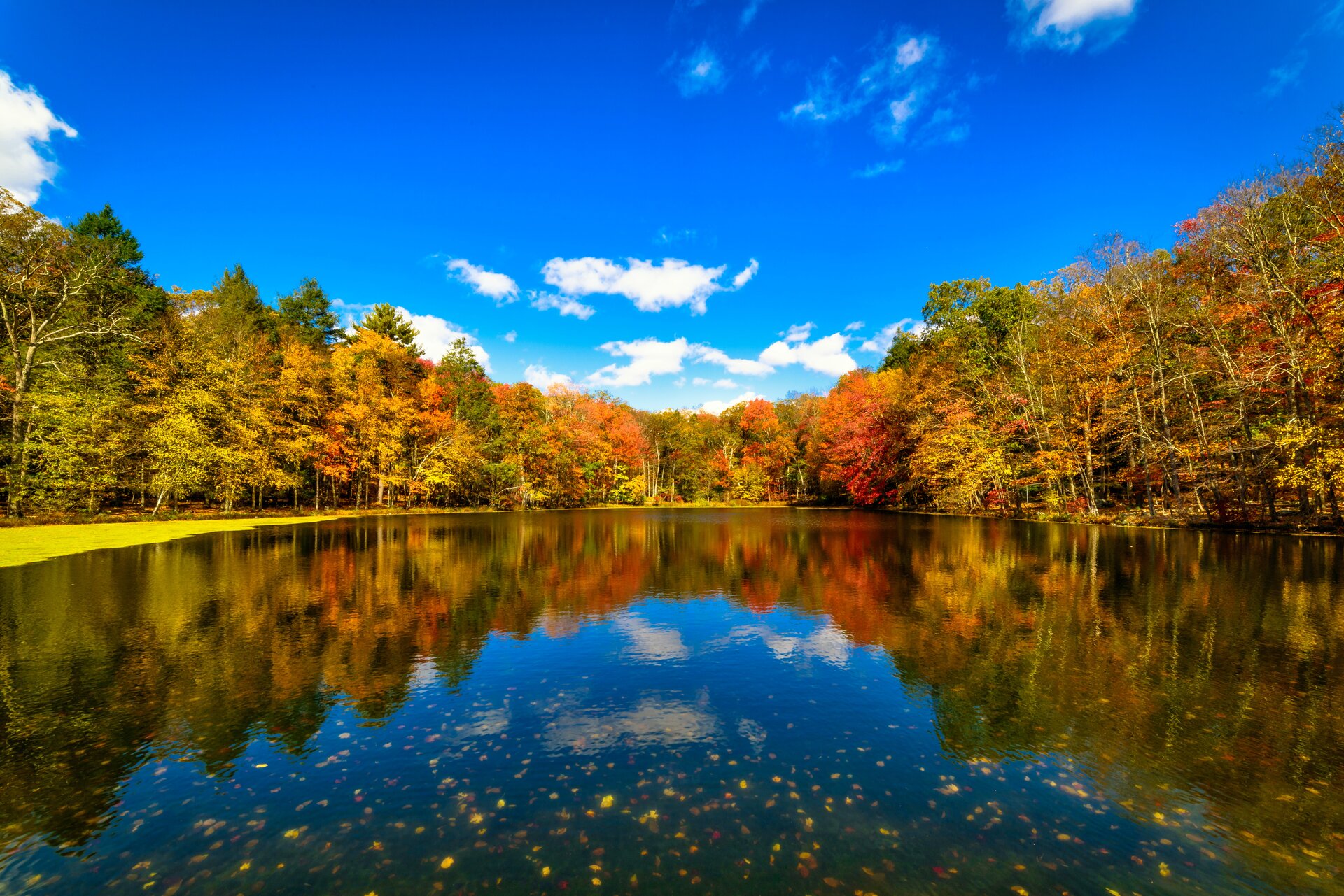 Beautiful lake in the fall