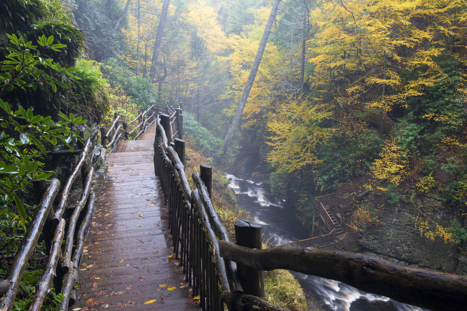 Trail at Bushkill Falls