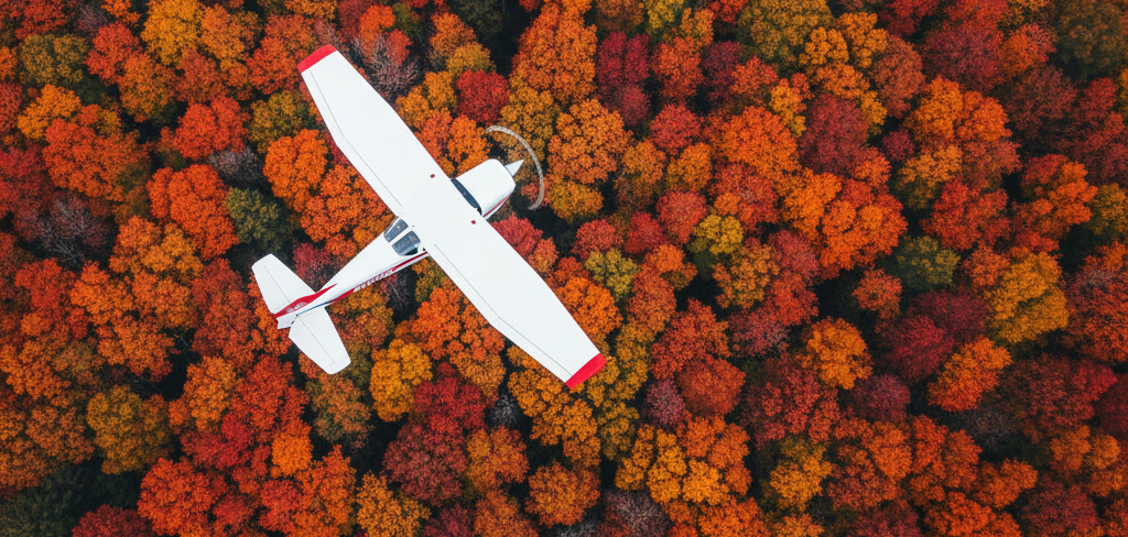 a plane flying over a forest of colorful trees