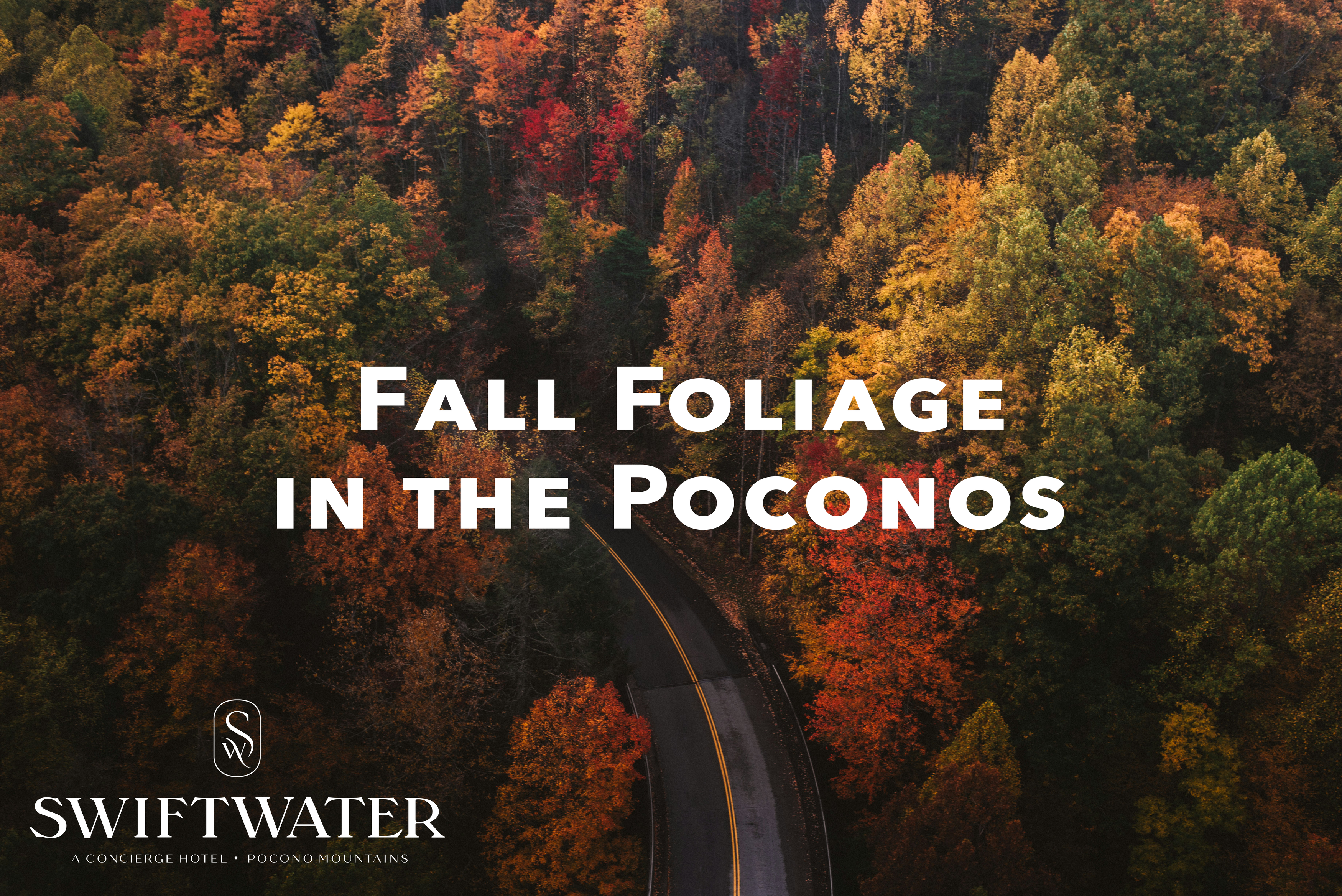 Fall foliage in the Poconos